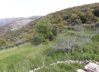 Land for sale in bejjeh, real estate in Bejjeh, buy sell properties in Bejjeh